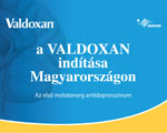 Valdoxan Szimpózium 2010